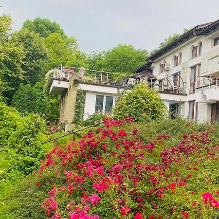 Rapsodia Pension Suczawa Zewnętrze zdjęcie