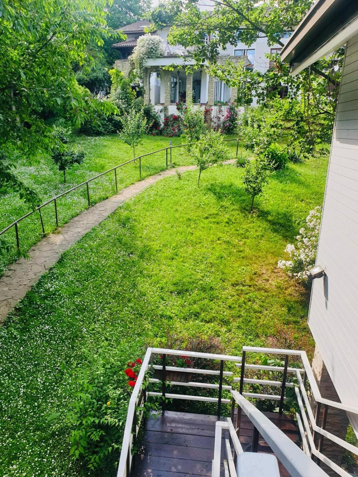 Rapsodia Pension Suczawa Zewnętrze zdjęcie