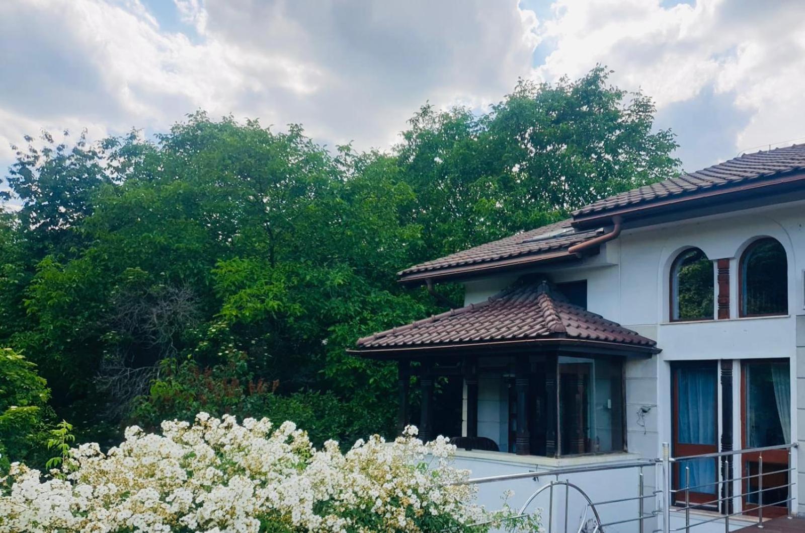 Rapsodia Pension Suczawa Zewnętrze zdjęcie