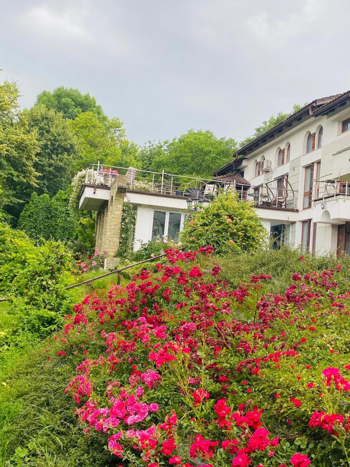 Rapsodia Pension Suczawa Zewnętrze zdjęcie